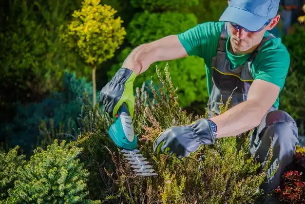 landscaping services Copake Lake